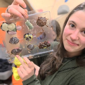 Работилница за шоколад | Chocolate workshop