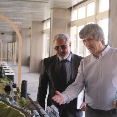 По пътя на теснолинейката