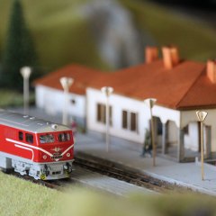 По пътя на теснолинейката